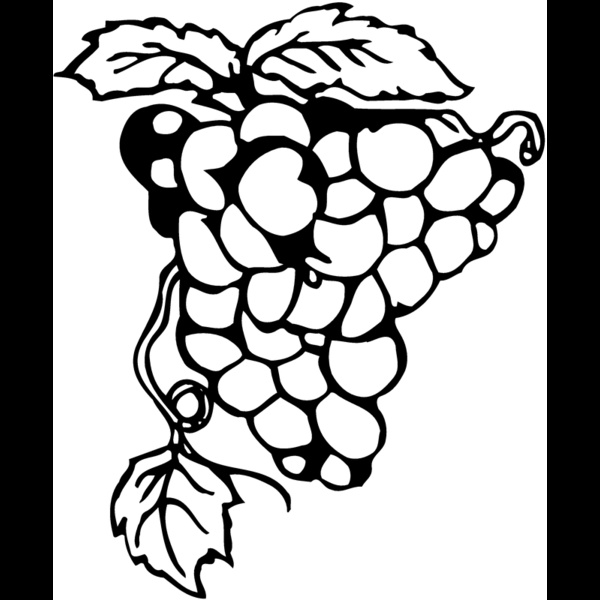 FRUIT017 Thumbnail