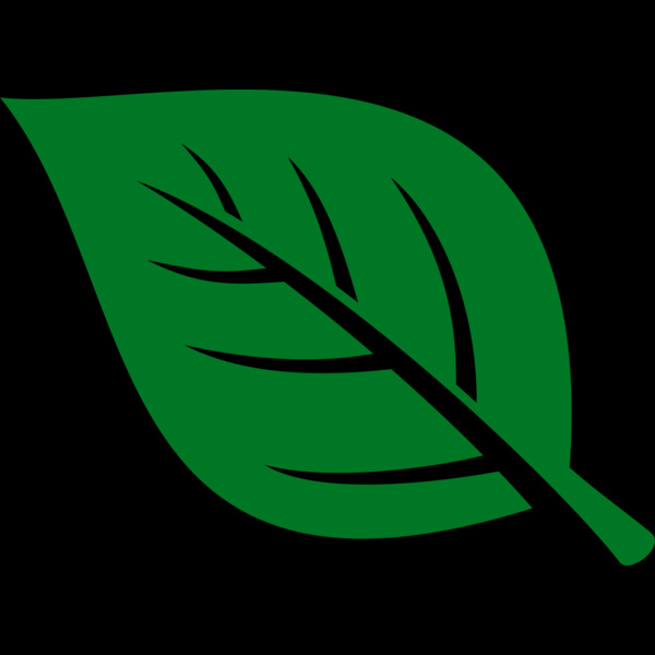 Leaf Thumbnail