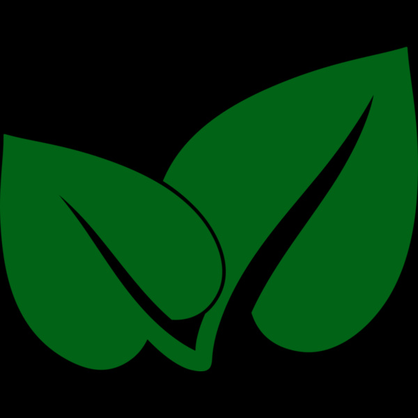 Leaves 2 Thumbnail