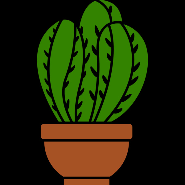 Cactus 3 Thumbnail