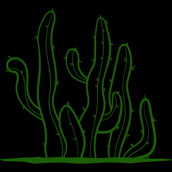 Cactus 2 Thumbnail