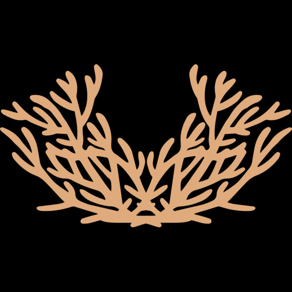 Sea Plants Thumbnail