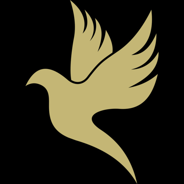 Dove 2 Thumbnail